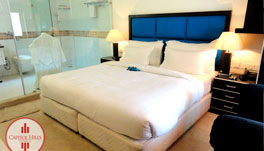 Hotel Capitol Hills - Suite Room View 5